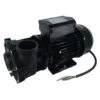 Jacuzzi® Lodge™ 2 Speed Hot Tub Pump - 930108653 -Outdoor Living Hot Tubs 930108653