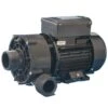 Jacuzzi® 2012+ Hot Tub Circulation Pump - 6500-067S -Outdoor Living Hot Tubs J300 circ pump 6500 920